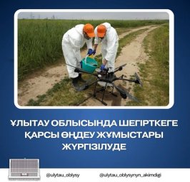 ​Ұлытау облысында шегірткеге қарсы өңдеу жұмыстары жүргізілуде