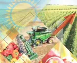 Өңірлік ауыл шаруашылығы жәрмеңкелері – экономикалық дамуды қолдау тетігі