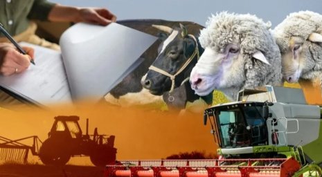 Ауыл шаруашылығын ауқымды қолдау елімізде бұрын-соңды болмаған – Тоқаев