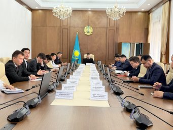 Жаңа Конституция: орнықты дамудың институционалдық және құқықтық негізі