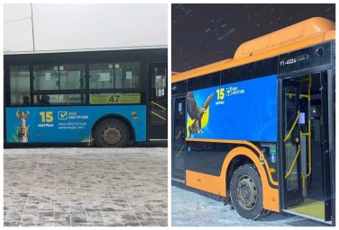 Автобустар мен қоғамдық көліктер Конституция жобасы туралы ақпаратпен безендірілген