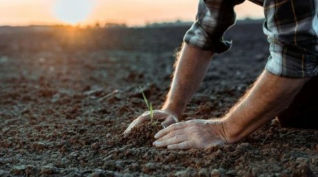 ​Ауыл шаруашылығы жерлерін беру тәсілдерін түбегейлі өзгерту керек — Жолдау